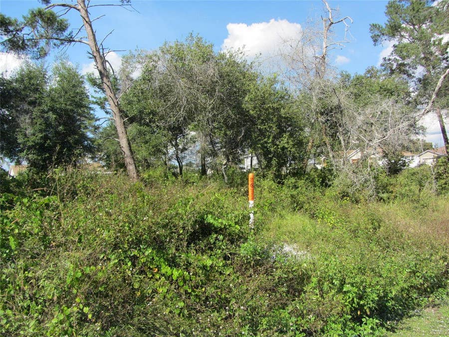 Property photo for 1684 CATALINA BLVD, Deltona, FL