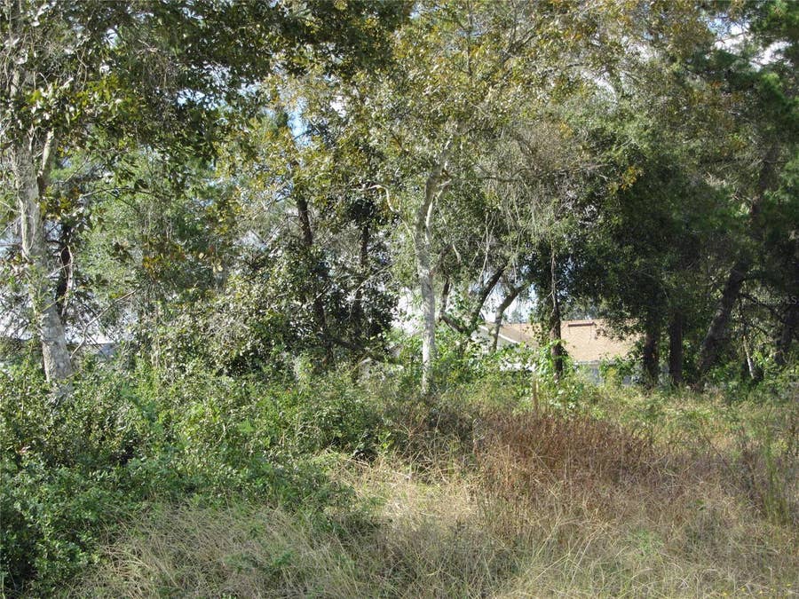 Property photo for 1688 CATALINA BLVD, Deltona, FL