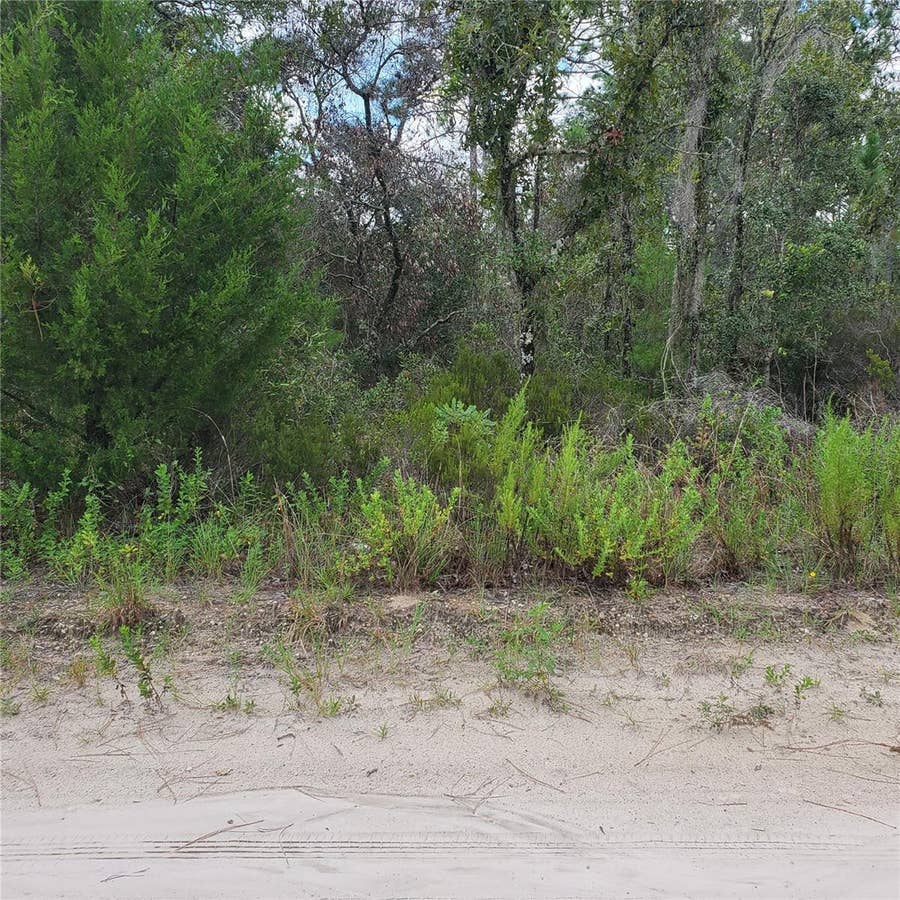 Property photo for NE 66TH LANE, Williston, FL
