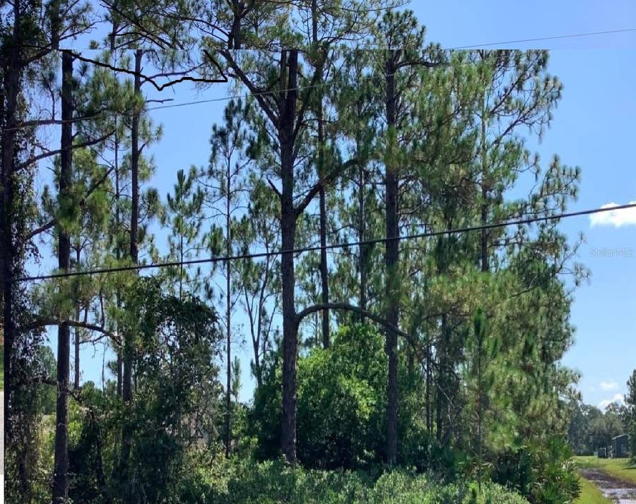 Property photo for CAESAR AVENUE, Orlando, FL