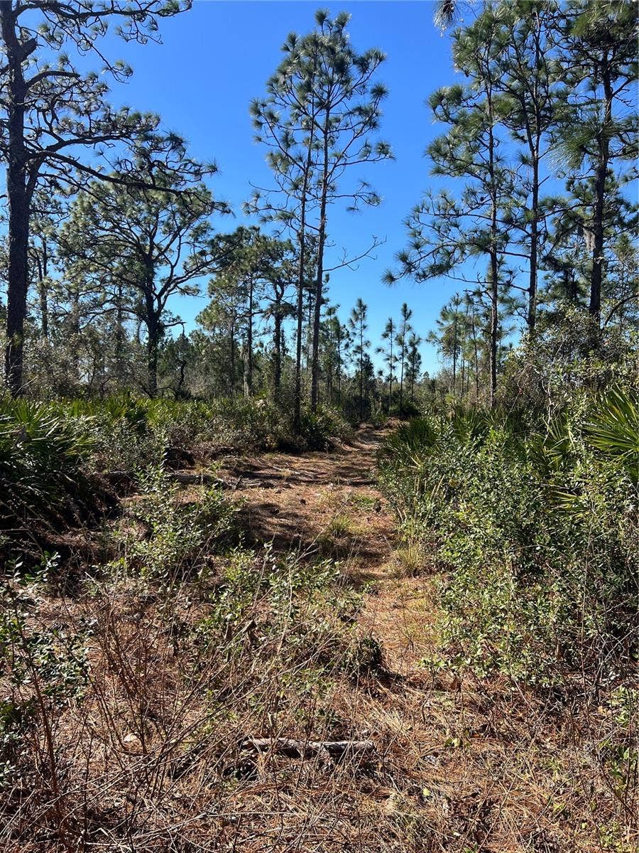 Property photo for SHORE DRIVE, Lake Wales, FL