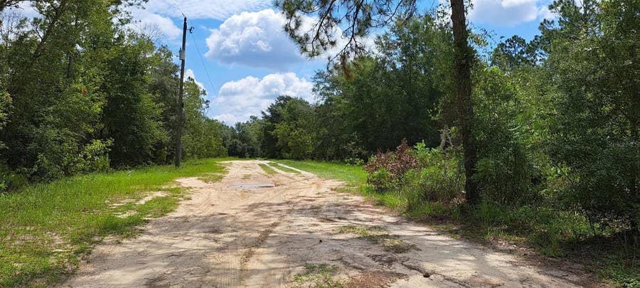 Property photo for 216 HIGHLAND DRIVE, Hawthorne, FL