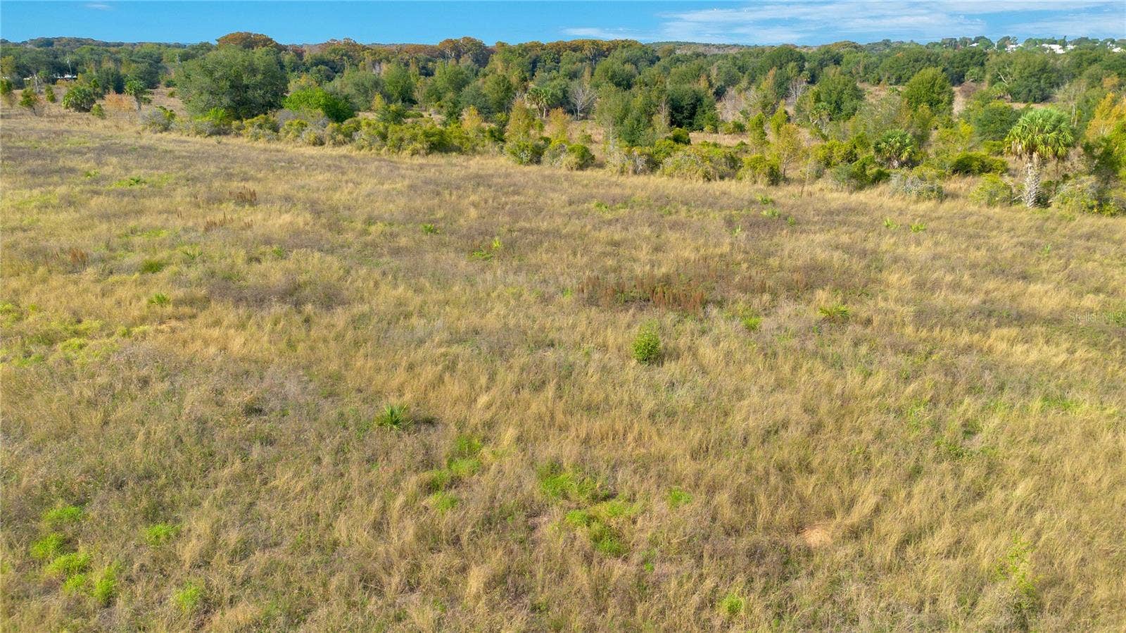 28432 S EICHELBERGER ROAD, Tavares, FL 32778 28432 S EICHELBERGER ROAD, Tavares, FL 32778
