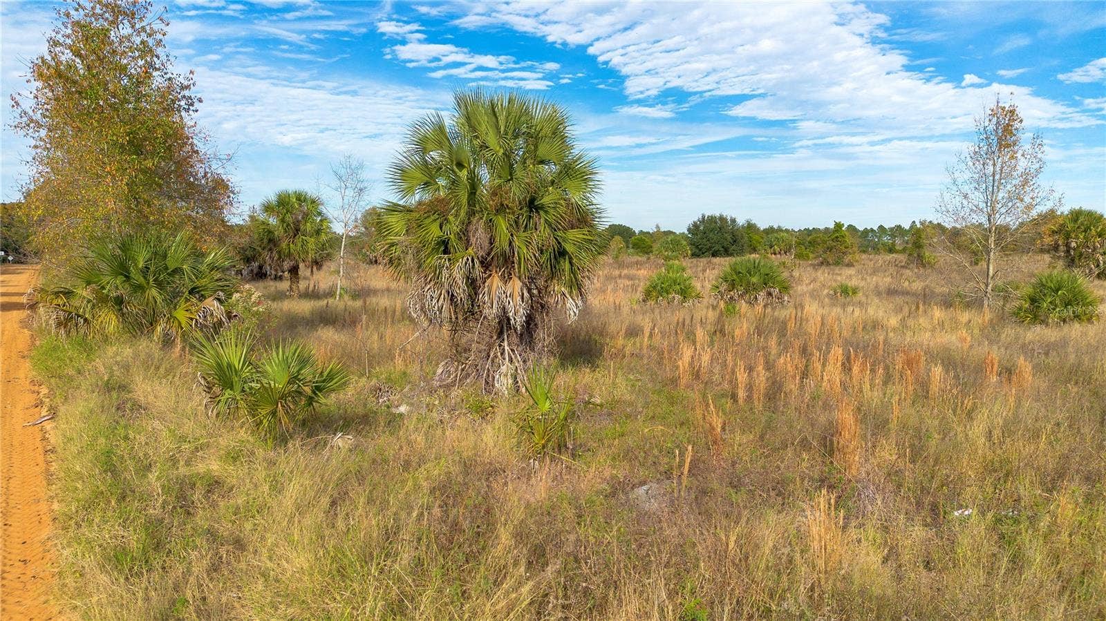 28432 S EICHELBERGER ROAD, Tavares, FL 32778 28432 S EICHELBERGER ROAD, Tavares, FL 32778