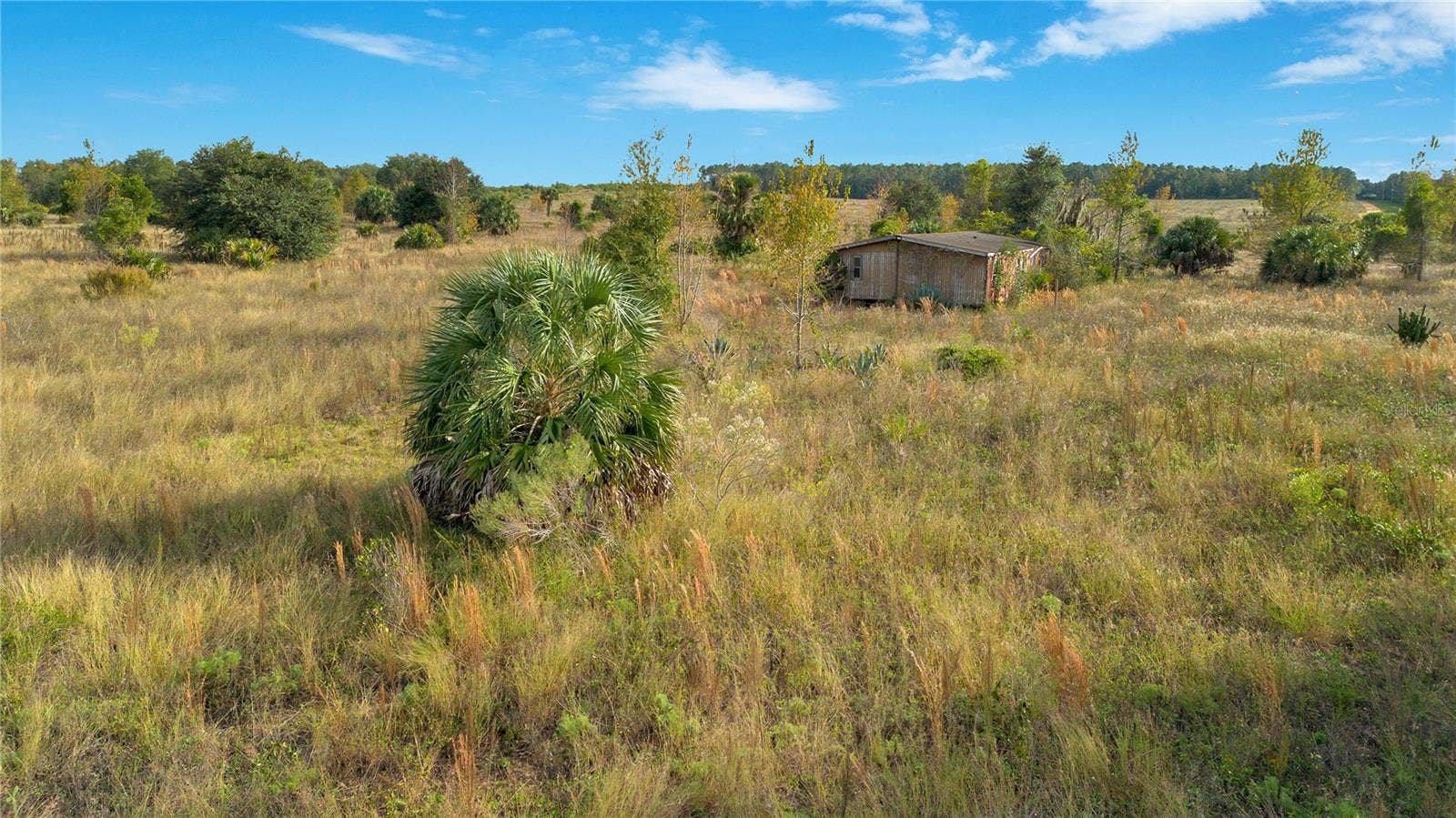 28432 S EICHELBERGER ROAD, Tavares, FL 32778 28432 S EICHELBERGER ROAD, Tavares, FL 32778