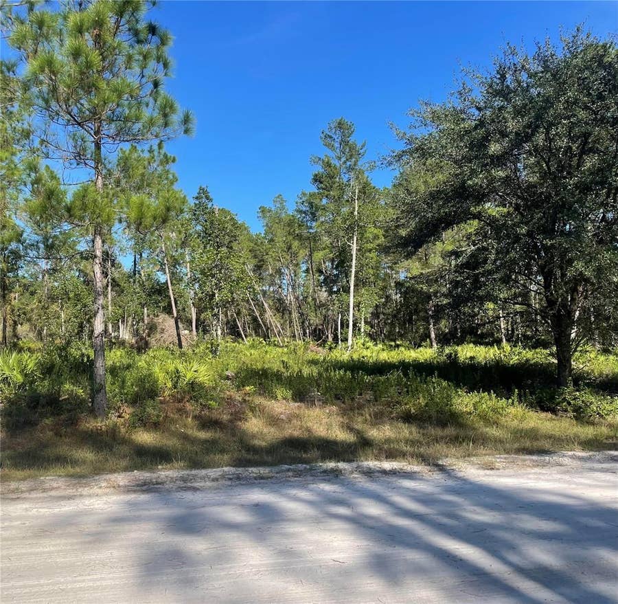 Property photo for 224 PLUMOSA DRIVE, Georgetown, FL