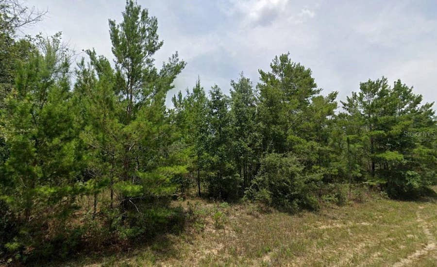 Property photo for HAMPSHIRE BOULEVARD, Chipley, FL