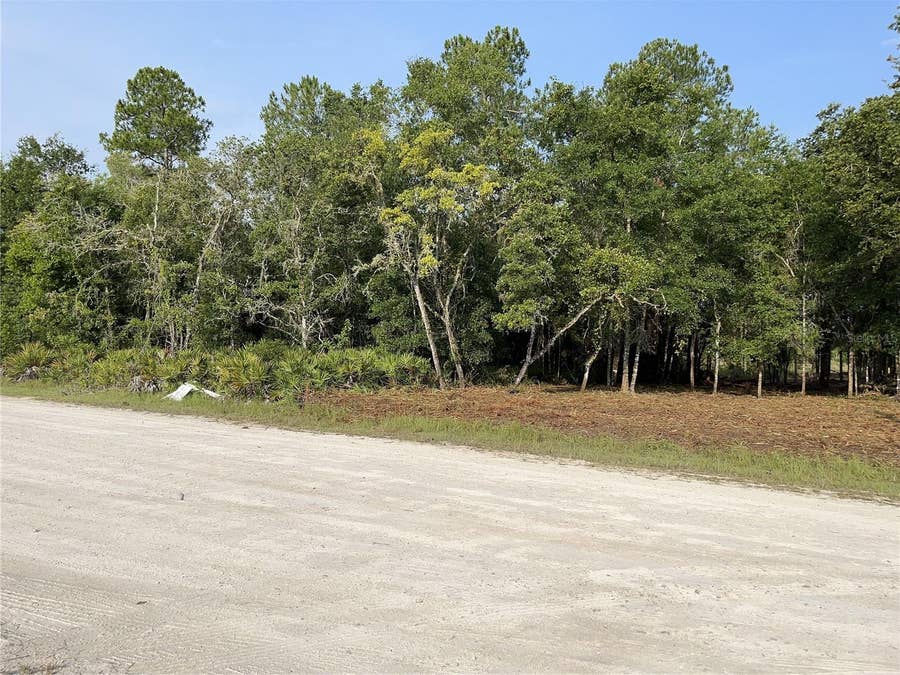 Property photo for 7123 GLENCHESTER DRIVE, Webster, FL