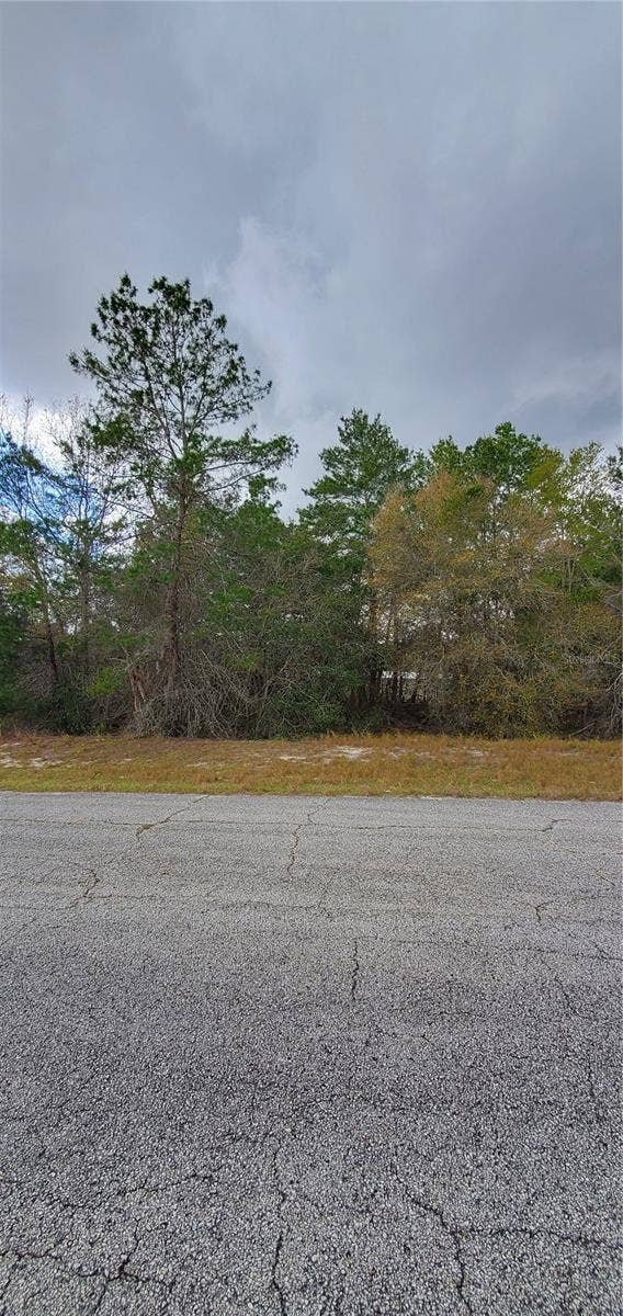Property photo for 1428 HILLSBOROUGH DRIVE, Poinciana, FL