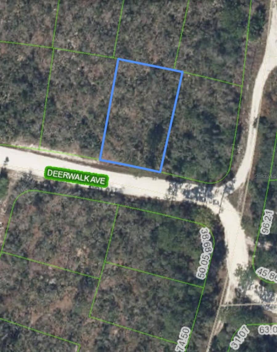 Property photo for 284 DEERWALK AVENUE, Lake Placid, FL