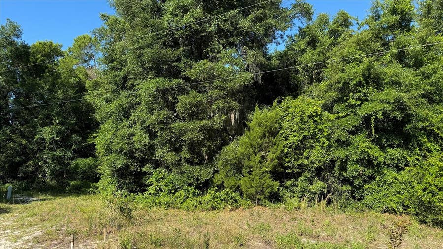 Property photo for 8045 NE 307TH AVENUE, Fort Mc Coy, FL
