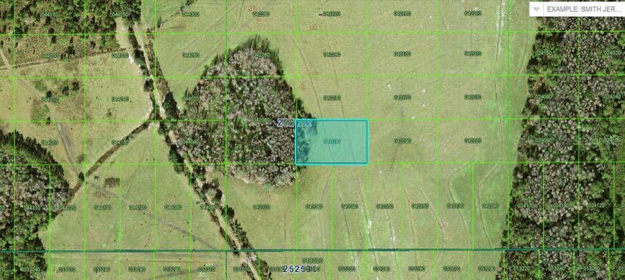 Property photo for N/A, Polk City, FL