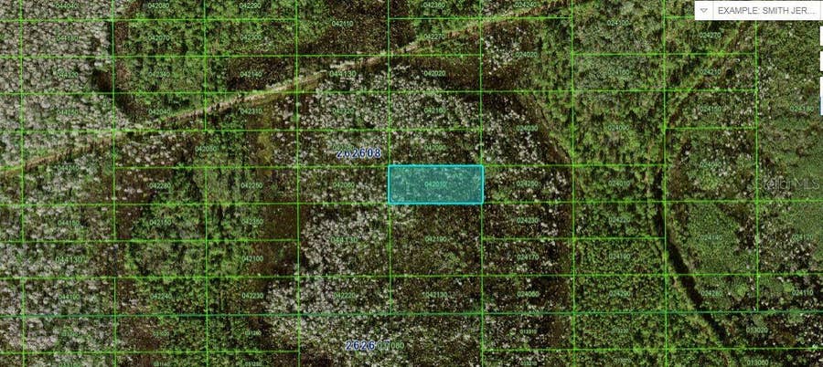 Property photo for N/A, Polk City, FL