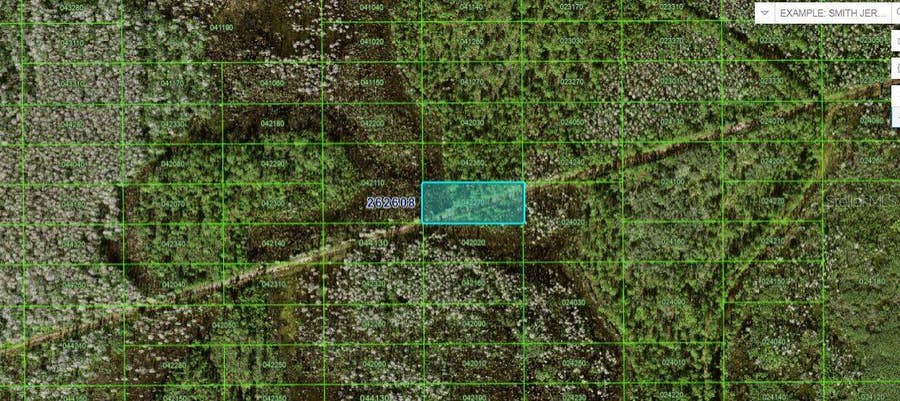 Property photo for N/A, Polk City, FL