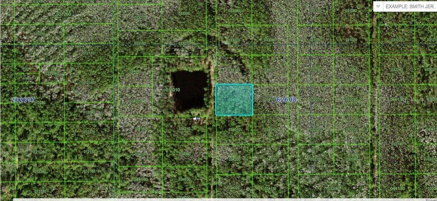 Property photo for N/A, Polk City, FL
