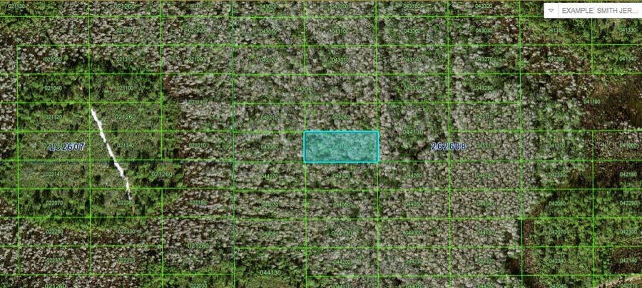 Property photo for N/A, Polk City, FL