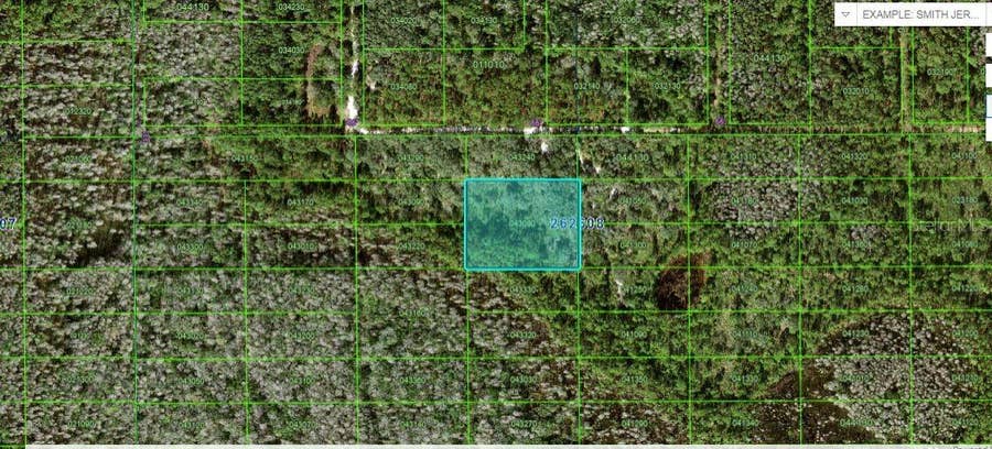 Property photo for N/A, Polk City, FL