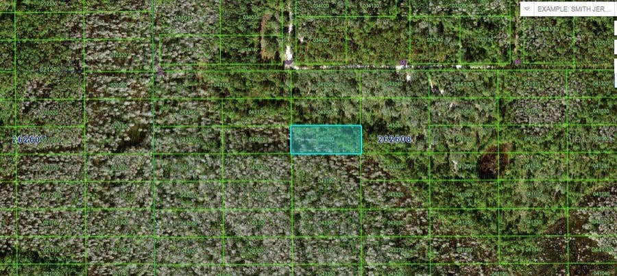Property photo for N/A, Polk City, FL