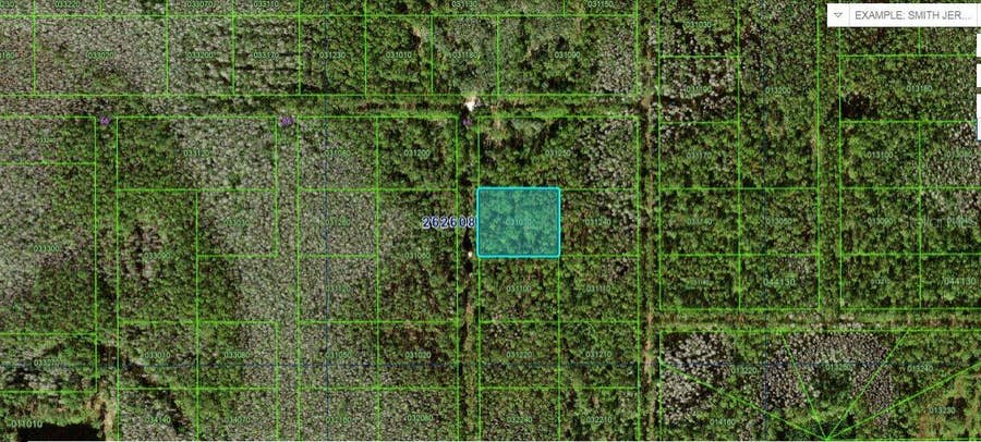 Property photo for N/A, Polk City, FL