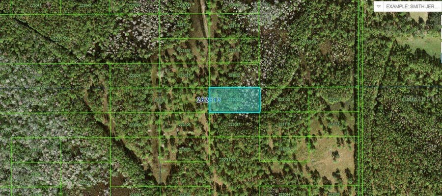 Property photo for N/A, Polk City, FL