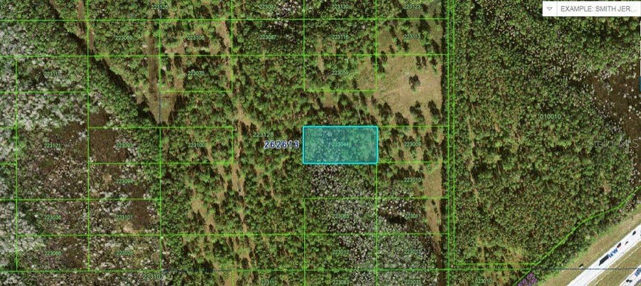 Property photo for N/A, Polk City, FL