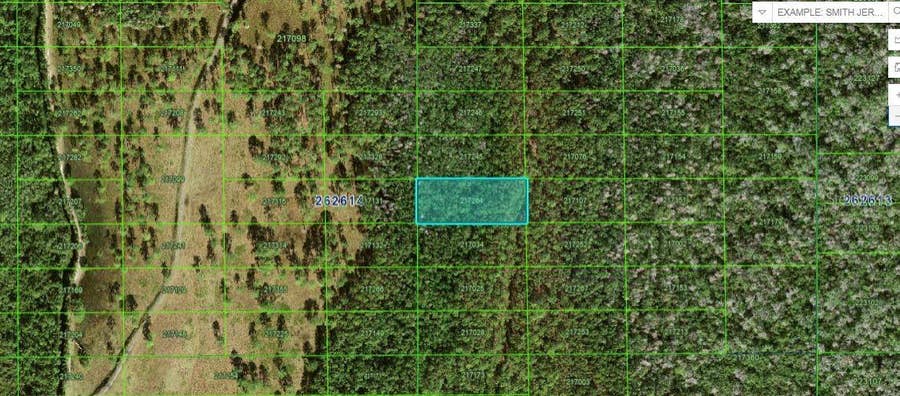 Property photo for N/A, Polk City, FL