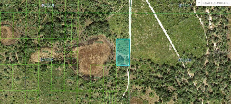 Property photo for N/A, Frostproof, FL