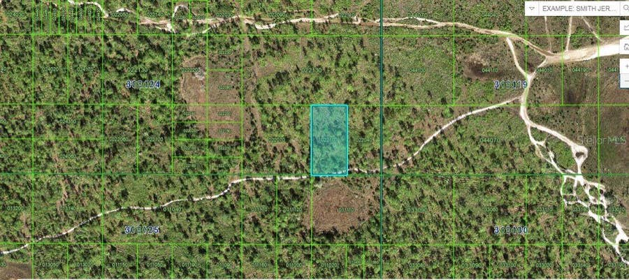 Property photo for N/A, Frostproof, FL