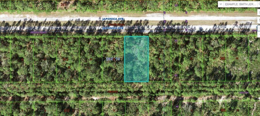 Property photo for 1103 JAPONICA AVENUE, Indian Lake Estates, FL