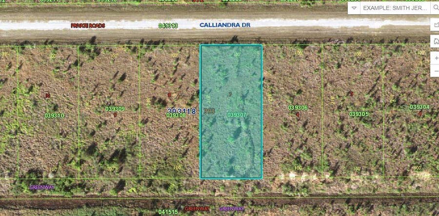 Property photo for CALLIANDRA DRIVE, Lake Wales, FL