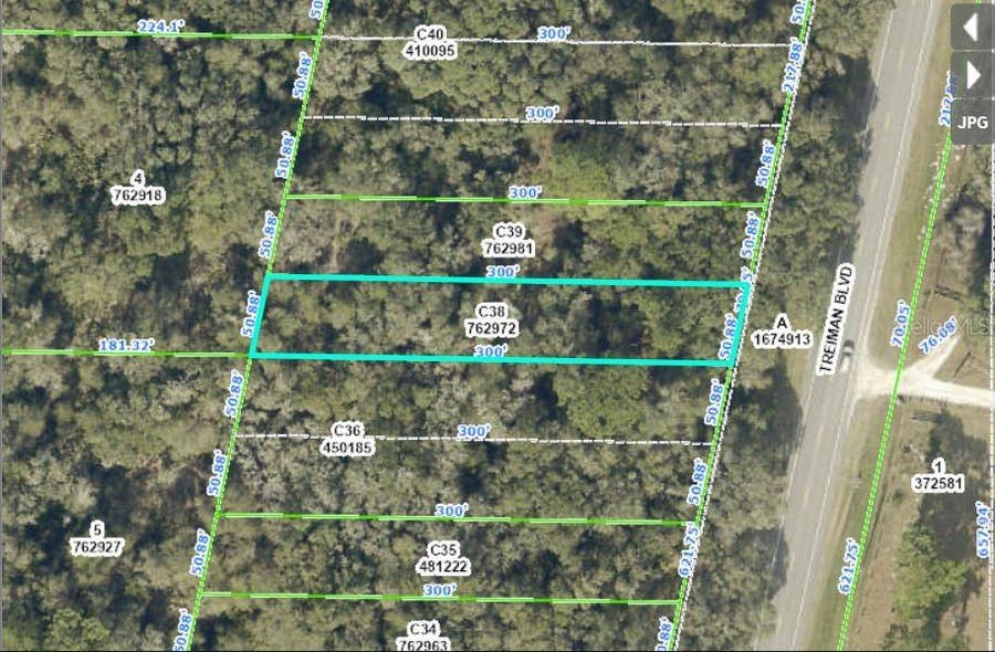 Property photo for TREIMAN BOULEVARD, Webster, FL