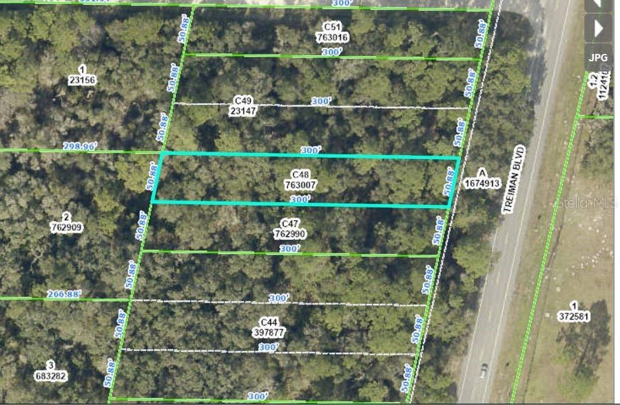 Property photo for TREIMAN BOULEVARD, Webster, FL