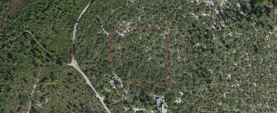 Property photo for HOLOPAW GROVES ROAD, St Cloud, FL