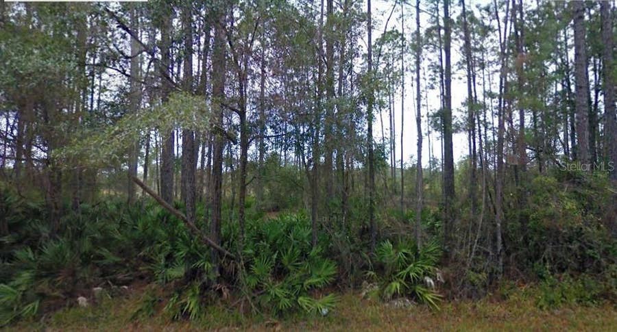 Property photo for NE 65TH AVENUE, Citra, FL