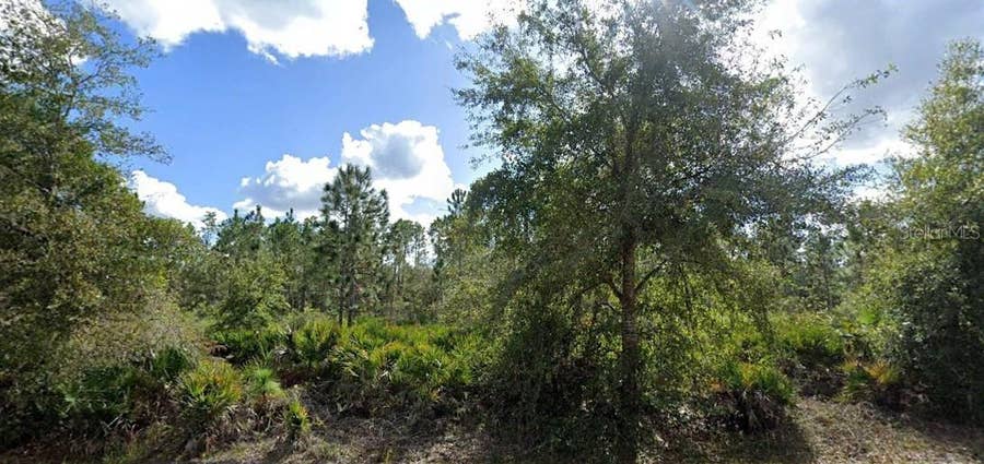 Property photo for ALBA DRIVE, Indian Lake Estates, FL