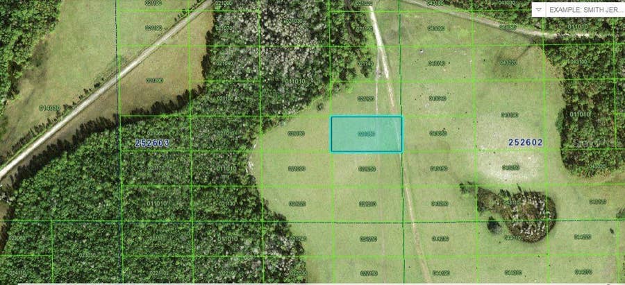 Property photo for DEEN STILL ROAD, Polk City, FL