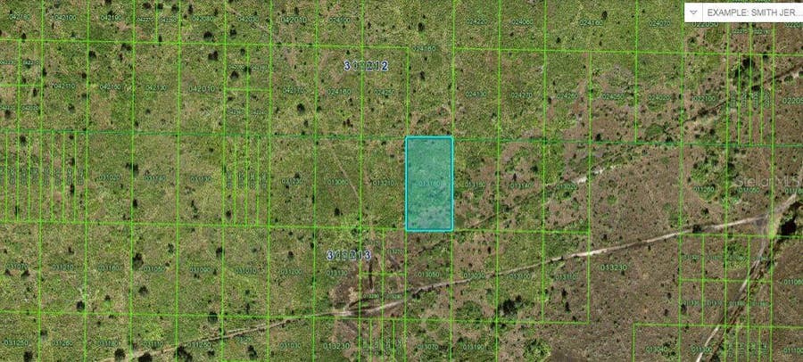Property photo for RIVER RANCH BOULEVARD, Lake Wales, FL