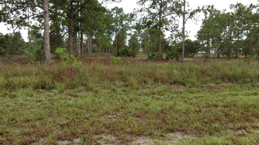 Property photo for 4006 E 5TH STREET, Lehigh Acres, FL