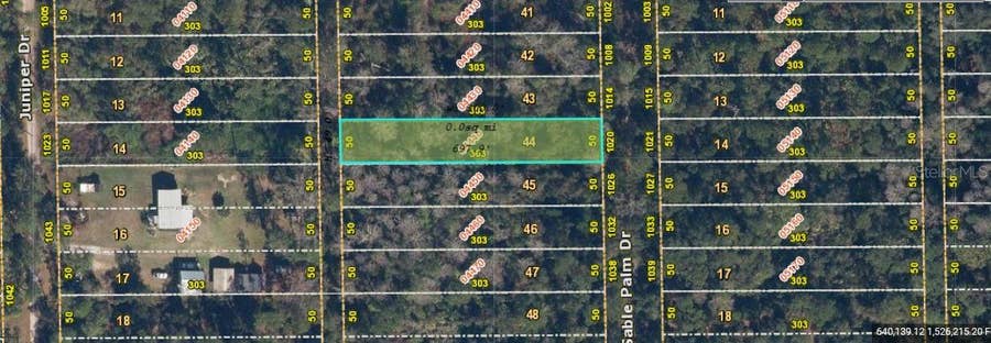 Property photo for 1020 SABLE PALM DRIVE, Christmas, FL