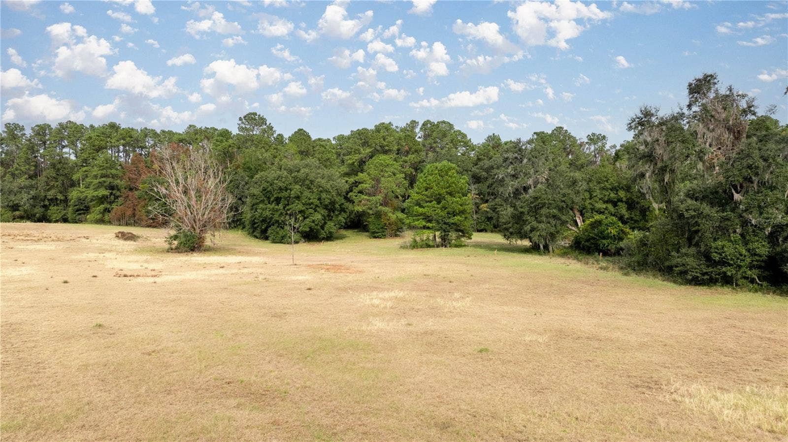4068 SW 62ND AVENUE, Gainesville, FL 32608 4068 SW 62ND AVENUE, Gainesville, FL 32608