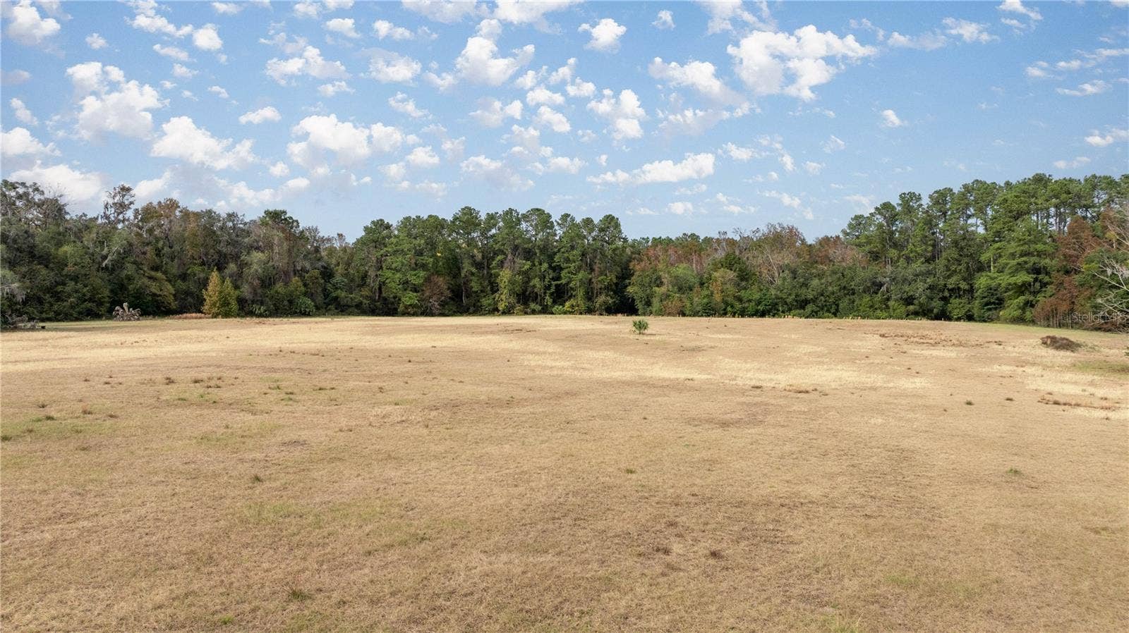 4068 SW 62ND AVENUE, Gainesville, FL 32608 4068 SW 62ND AVENUE, Gainesville, FL 32608