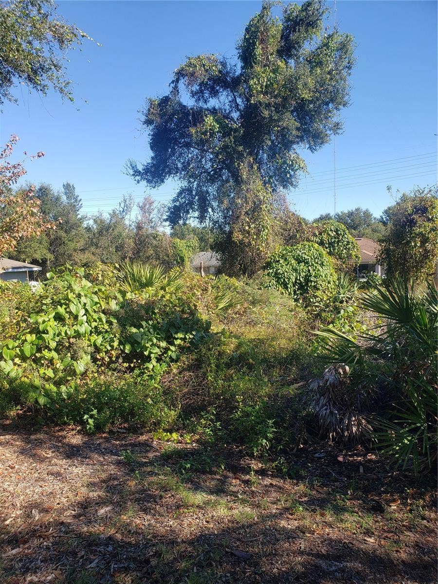 Property photo for CHESTNUT AVENUE, Orange City, FL