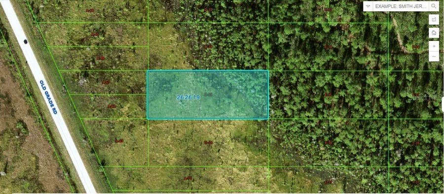 Property photo for OLD GRADE ROAD, Polk City, FL