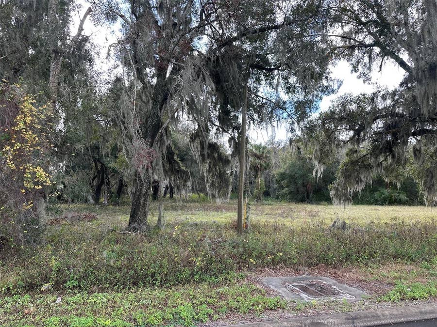 Property photo for DOYLE ROAD, Osteen, FL
