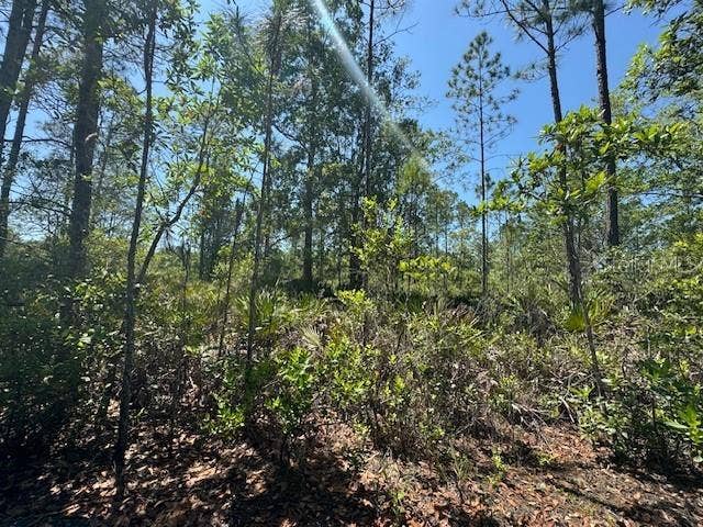 Property photo for NINEMILE POINT ROAD, Pierson, FL