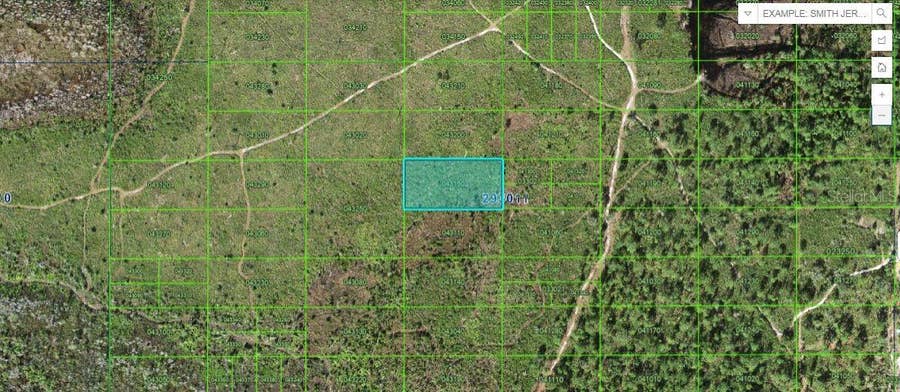 Property photo for TIGER LAKE ROAD, Lake Wales, FL