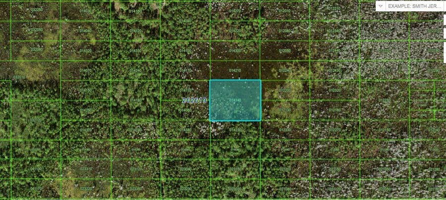 Property photo for OLD GRADE ROAD, Polk City, FL