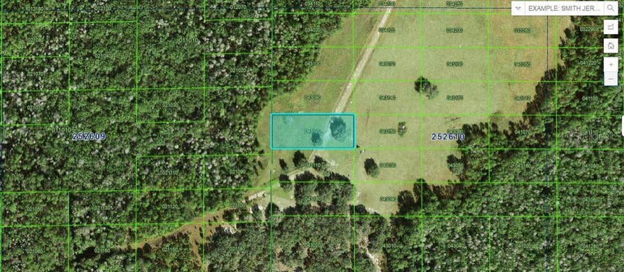 Property photo for BACKLAND PATH ROAD, Polk City, FL