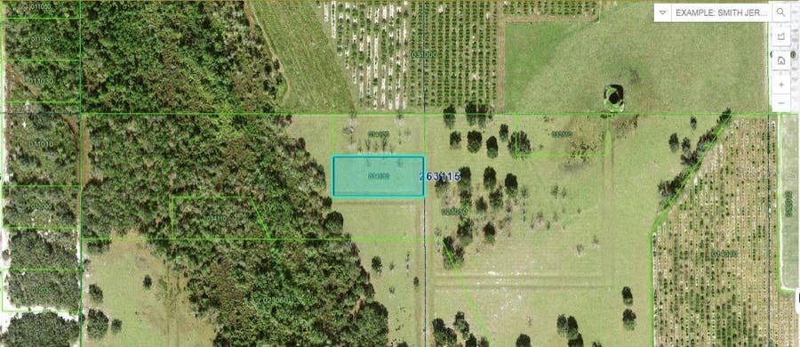 Property photo for MILLS RD, Fort Meade, FL