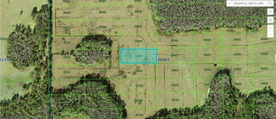 Property photo for GREEN POND RD, Polk City, FL